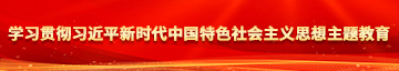 日少妇屄真蔡学习贯彻习近平新时代中国特色社会主义思想主题教育